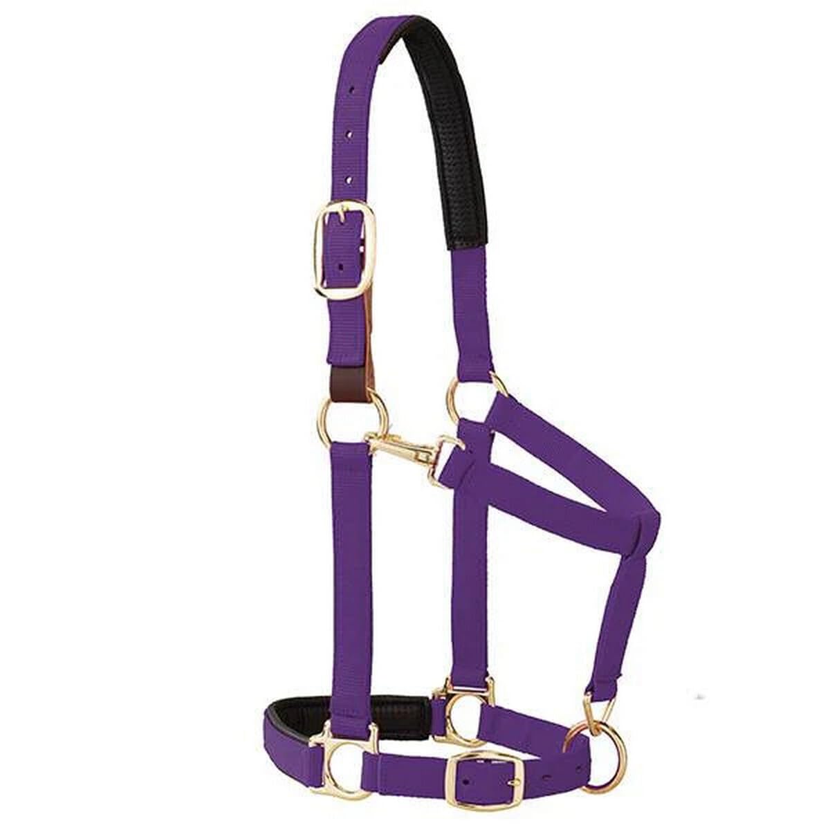 Weaver Equine Breakaway Horse Halter, Comfort Foam Padding, Adjustable Chin & Throat Snap Halters for Horses, Equine Tack,Average Size, Purple