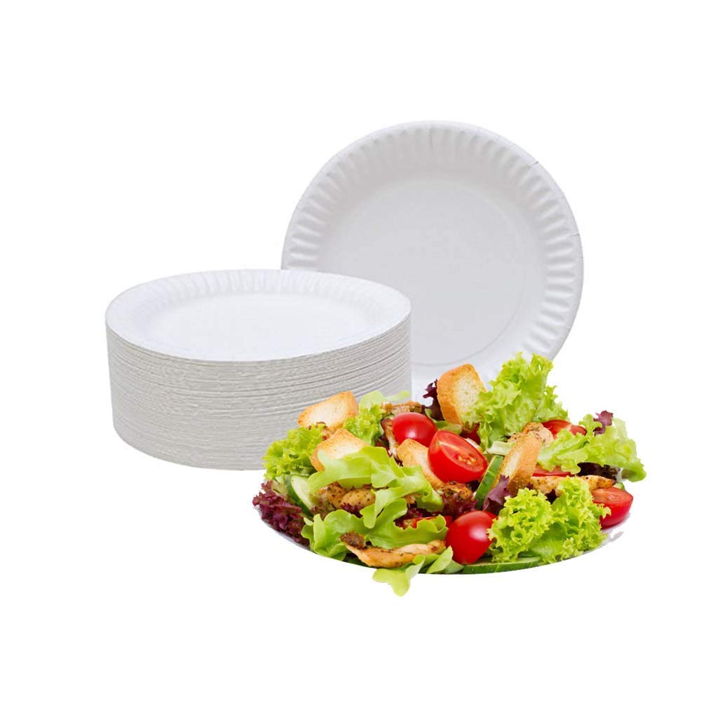 Spa Stix 6" Disposable Paper Plate - Pack of 500ct