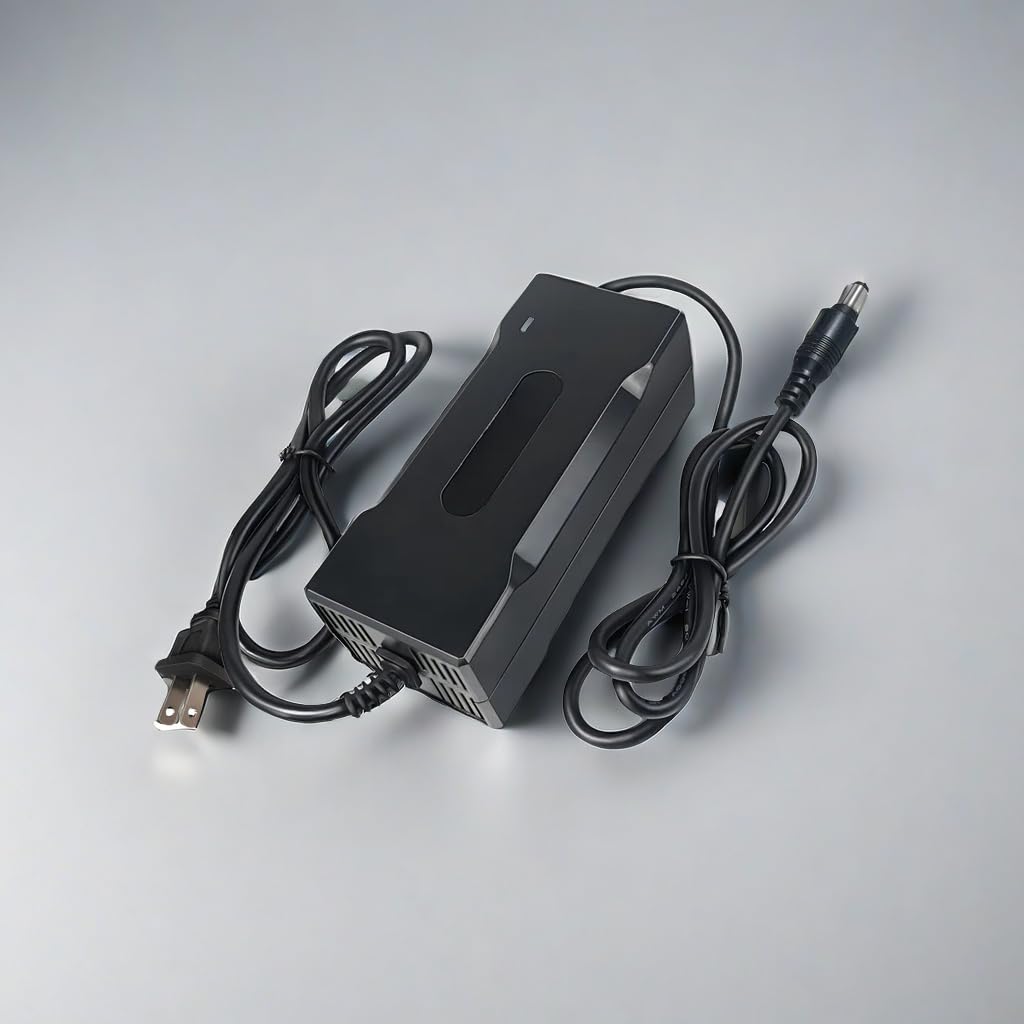 PMCMCY 54.6v 2a Lithium Battery Charger for 48V 13S Li-ion Battery Pack,48 VLT Power Charger Adapter Built in Fan (DC 5.5 * 2.1/2.5mm)