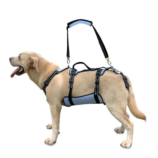 Coodeo Dog Lift Harness, Support & Recovery Sling, Pet Rehabilitation Lifts Vest Adjustable Breathable Straps for Old, Disabled, Joint Injuries, Arthritis, Paralysis Dogs Walk (Large)