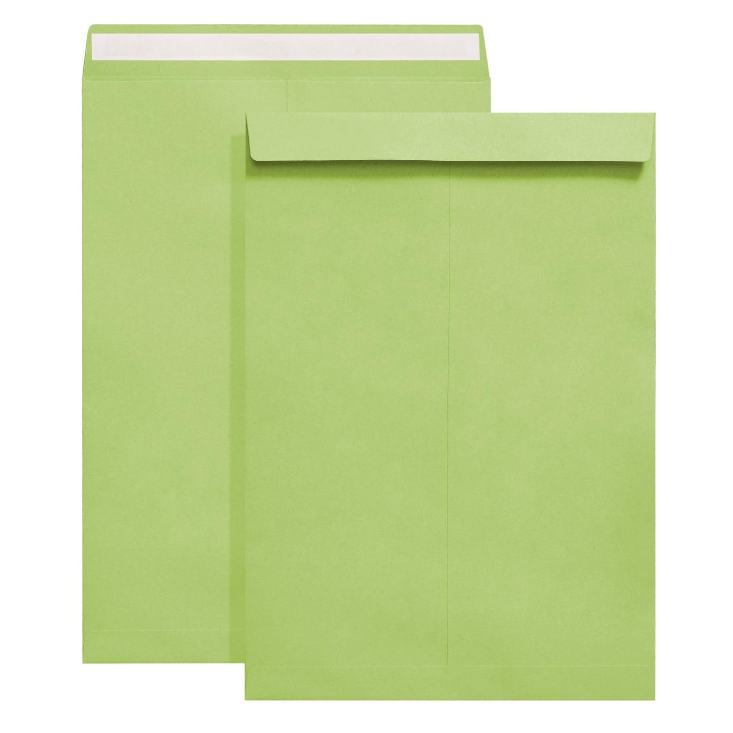 Tanshuqin 9" x 12.75" Light Green Self-Seal Catalog Envelopes Recycled Envelopes for Invitation Cards, Organizing and Storage, Pictures, Photos, Documents (100 PCS)