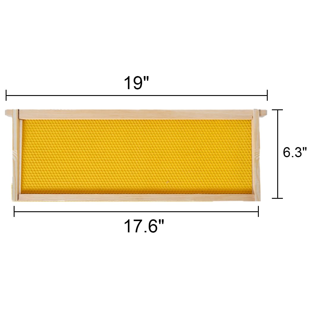 BeeCastle Medium Beehive Frames and Wax Foundations,10 Pack Honey Bee Frames with Wooden Bee Hive Frames and Beeswax Coated Foundations, 6-1/4-Inch (Yellow)