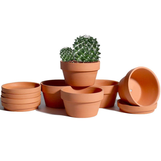 5.7 Inch Terracotta Shallow Succulent Pot - 6 Pack Terra Cotta Clay Pots with Saucer, Cacuts Terra-Cotta Indoor and Outdoor Planters with Drainage Hole