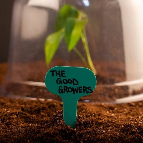 (10 Pack) The Good Growers Extra Large Plant Covers (10" x 8") with Vents - Reusable Plastic Cloche Domes for All-Weather & Frost Protection, Mini Greenhouse Effect & Pest Control