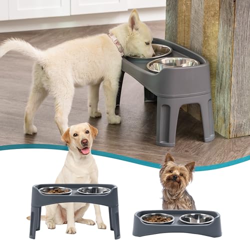 IRIS USA Elevated Dog Bowls, Adjustable Height, 2 Thick 1.9 L Stainless Steel Bowls, Spill-Proof with Raised Outer Rim, Durable Plastic, Easy Assemble, 2 Heights 11.8 or 31.1 cm, Dark Gray