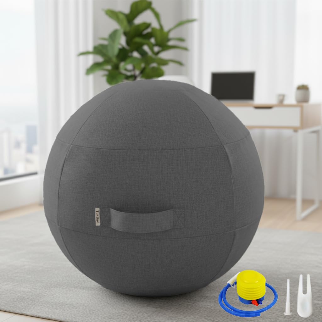 Exercise Ball Chair with Fabric Cover, Standard Size (25inches/65cm), for Home Offices, Balance Training, Yoga Ball (Black)