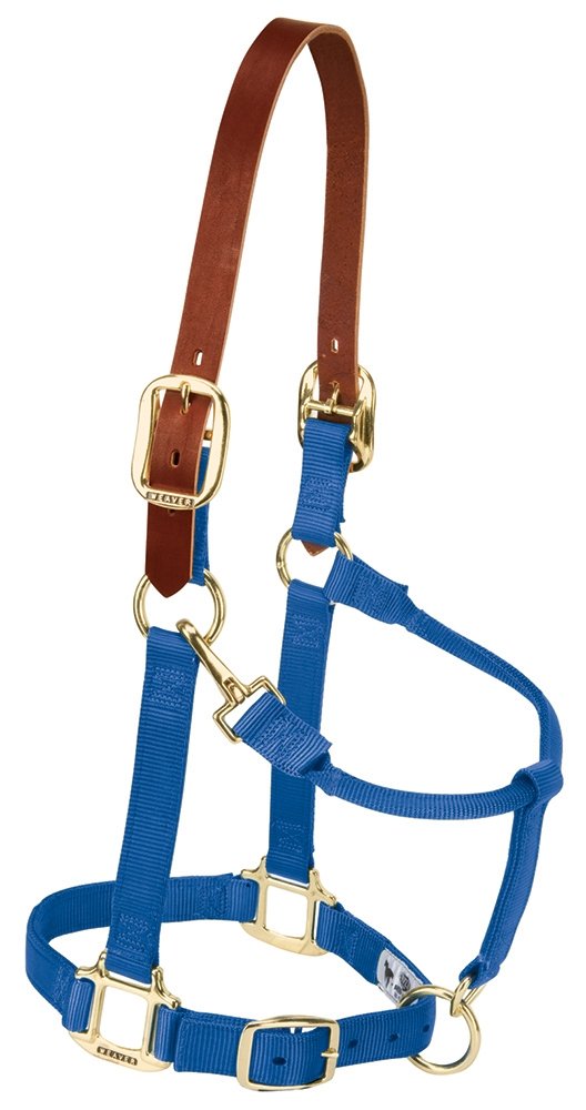 Weaver Leather Breakaway Original Adjustable Chin and Throat Snap Halter, Small Horse Size, Blue