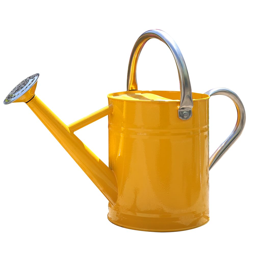 yourjoy Metal Watering Can, One Gallon Watering Cans Stainless Steel for Outdoor Indoor Garden Plants Watering
