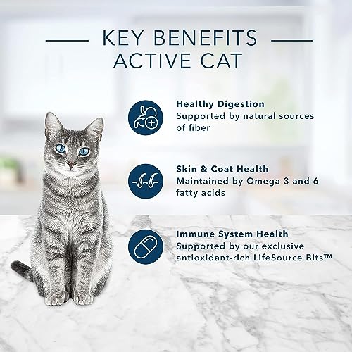 Blue Buffalo Tastefuls Natural Dry Cat Food, Chicken 7lb