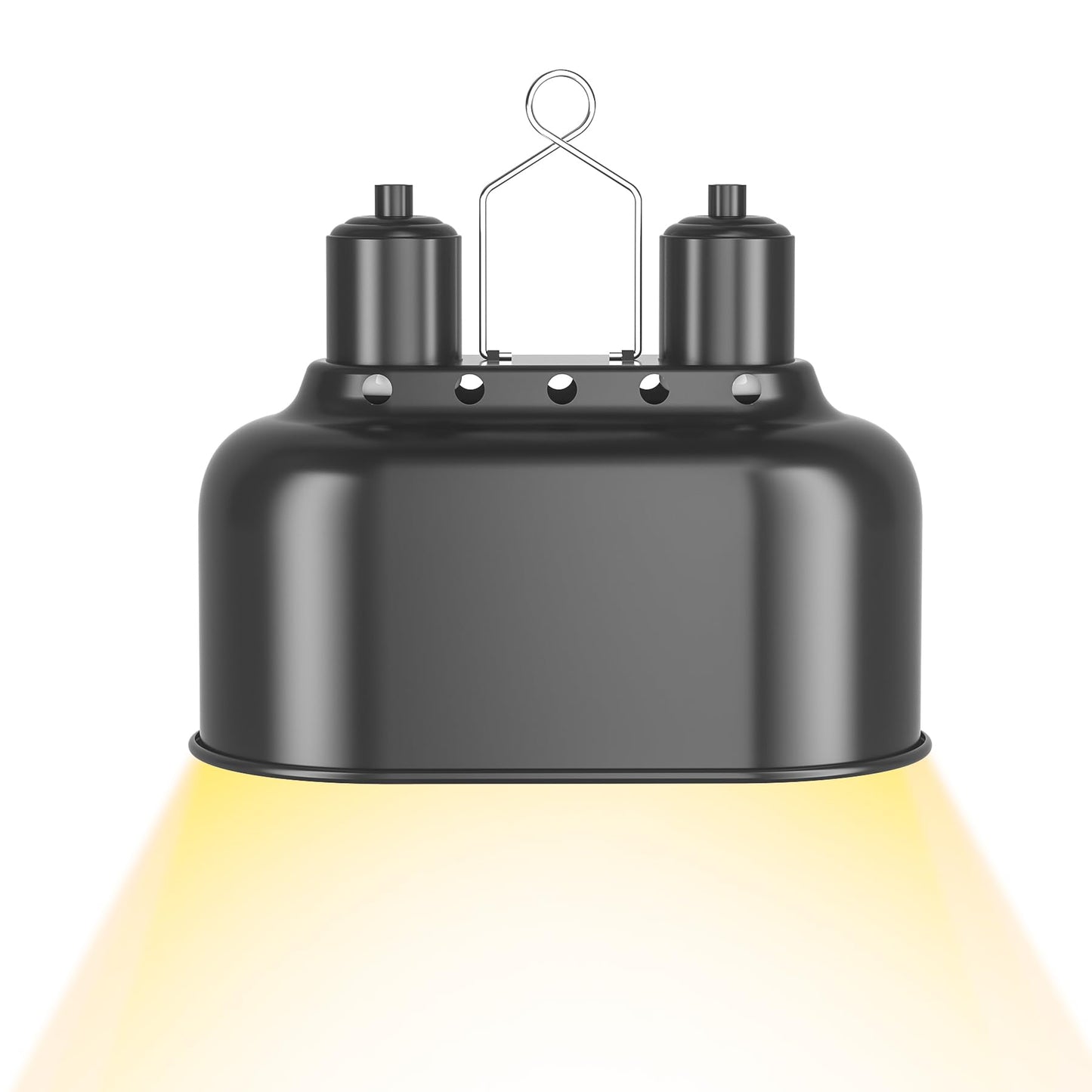 AOKSURE Dual Reptile Light Fixture with Switches, Reptile Heat Lamp Fixture, Reptiles Terrarium UVB Bulb Fixture for Bearded Dragon, Max 100W Each