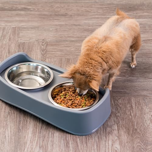 IRIS USA Elevated Dog Bowls, Adjustable Height, 2 Thick 1.9 L Stainless Steel Bowls, Spill-Proof with Raised Outer Rim, Durable Plastic, Easy Assemble, 2 Heights 11.8 or 31.1 cm, Dark Gray