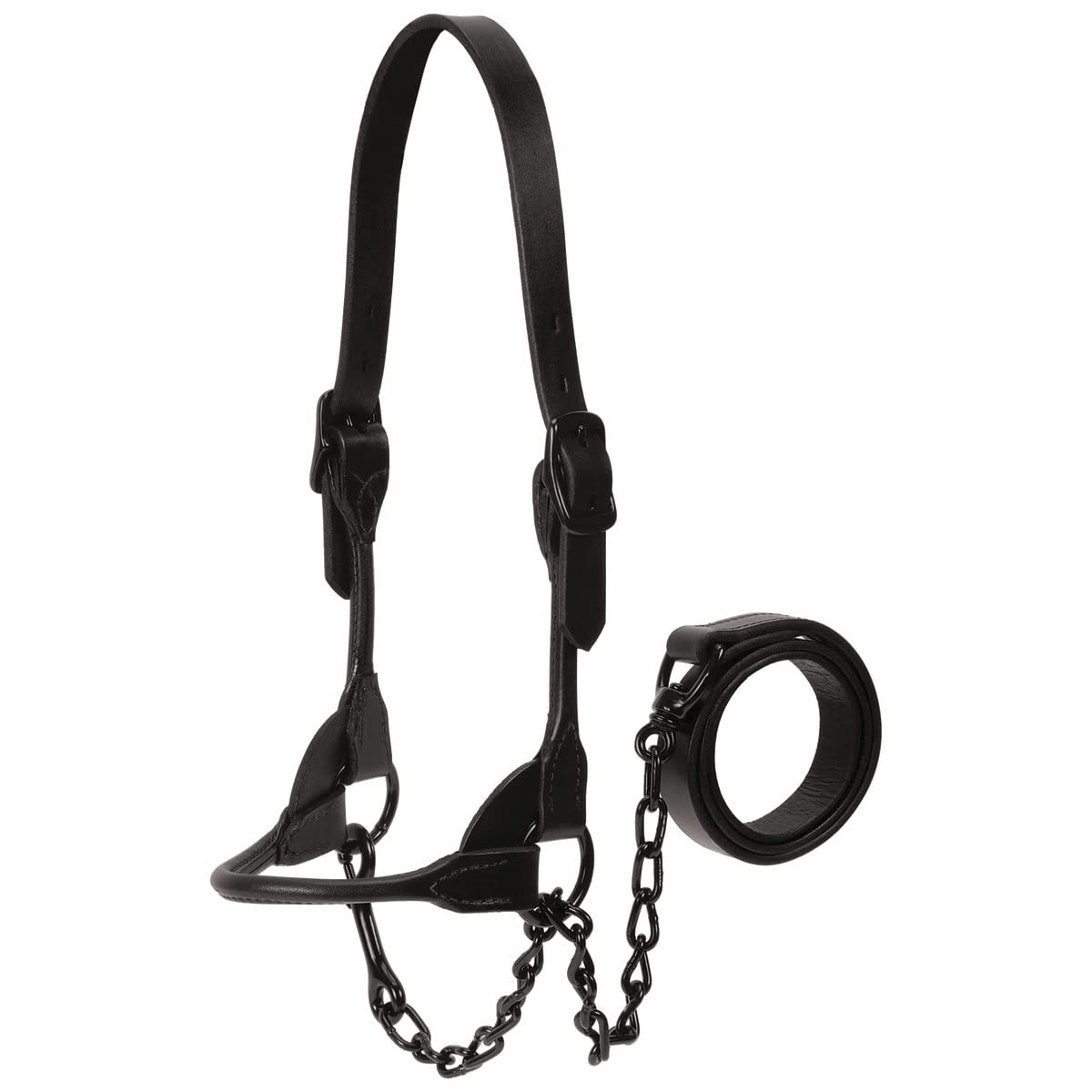 Weaver Leather Livestock Black Magic Show Halter, Medium