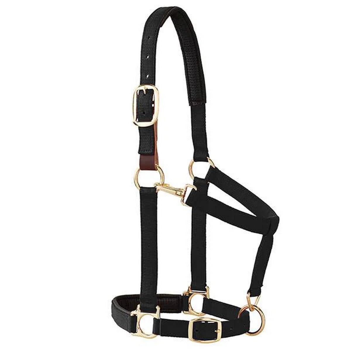 Weaver Equine Breakaway Horse Halter, Comfort Foam Padding, Adjustable Chin & Throat Snap Halters for Horses, Equine Tack,Average Size, Purple
