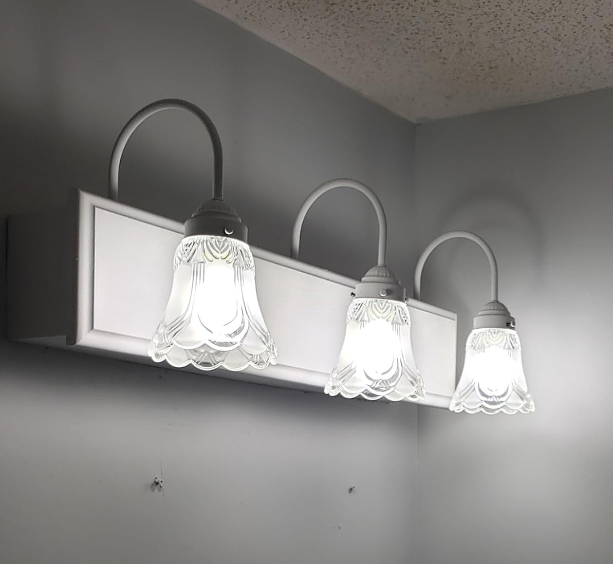 SHENGQINGTOP 4 Pack Clear & Frosted Glass Lamp Shade Replacement with 1.6"(41MM) Fitter Opening for Ceiling Fan Light Kit Wall Sconce Pendant Light Fixture
