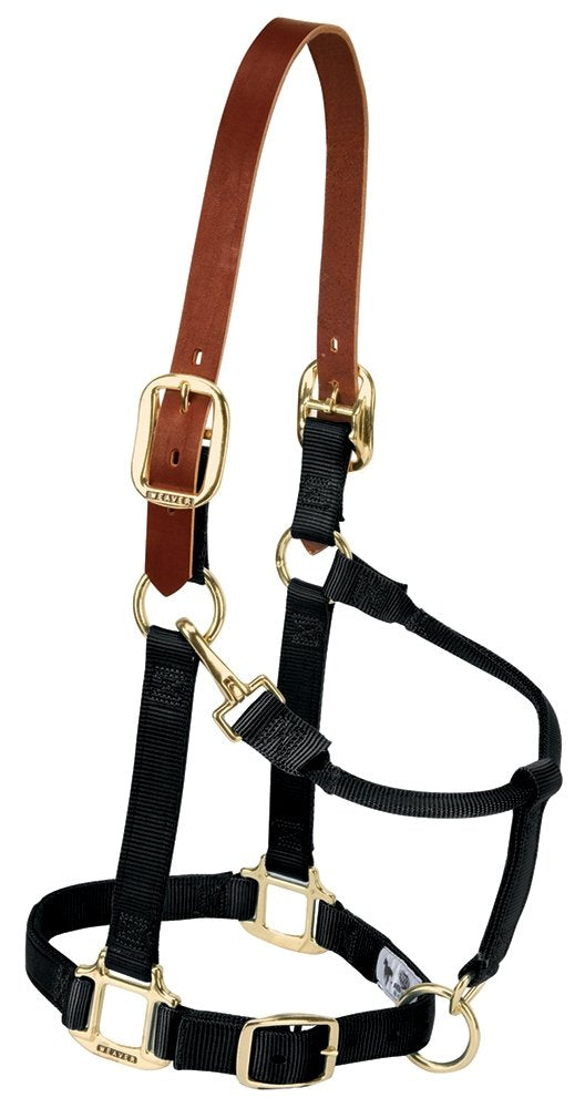 Weaver Leather 35-6026-BK Nylon Breakaway Halter for Large Horse, 1-Inch, Black