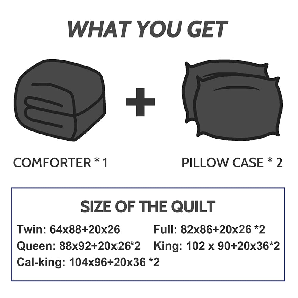 Decroom Lightweight Queen Comforter Set with 2 Pillow Sham - 3 Pieces Set - Quilted Down Alternative Comforter/Duvet Insert for All Season - Black/Grey - Queen Size
