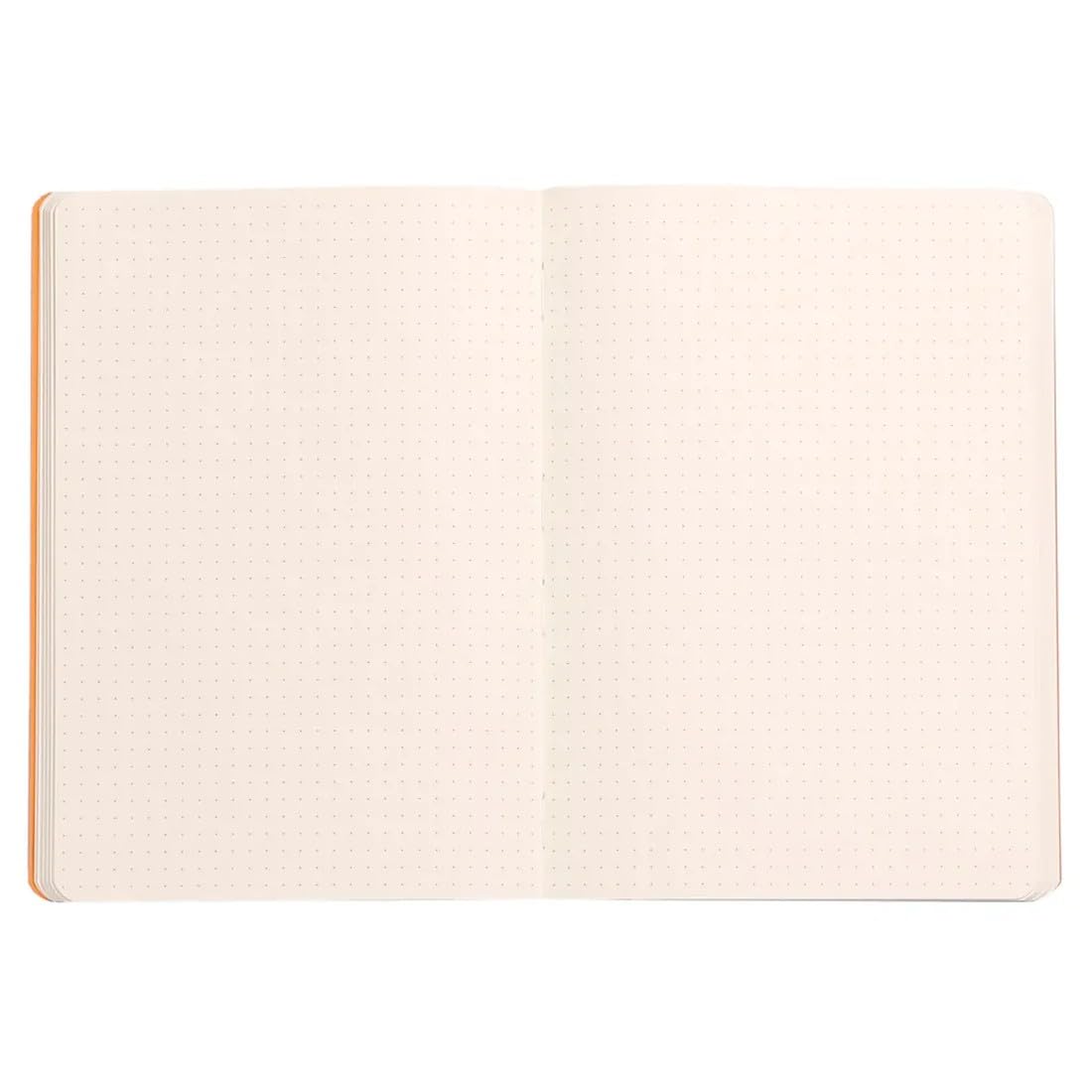 Rhodia - Rhodiarama Leatherette Softcover Notebook - A5 5.8 x 8.3 in (14.8x21 cm) - 160 Pages, Dot Grid Ruling, 90gsm Brushed Vellum Ivory Paper - Sage - 117440C
