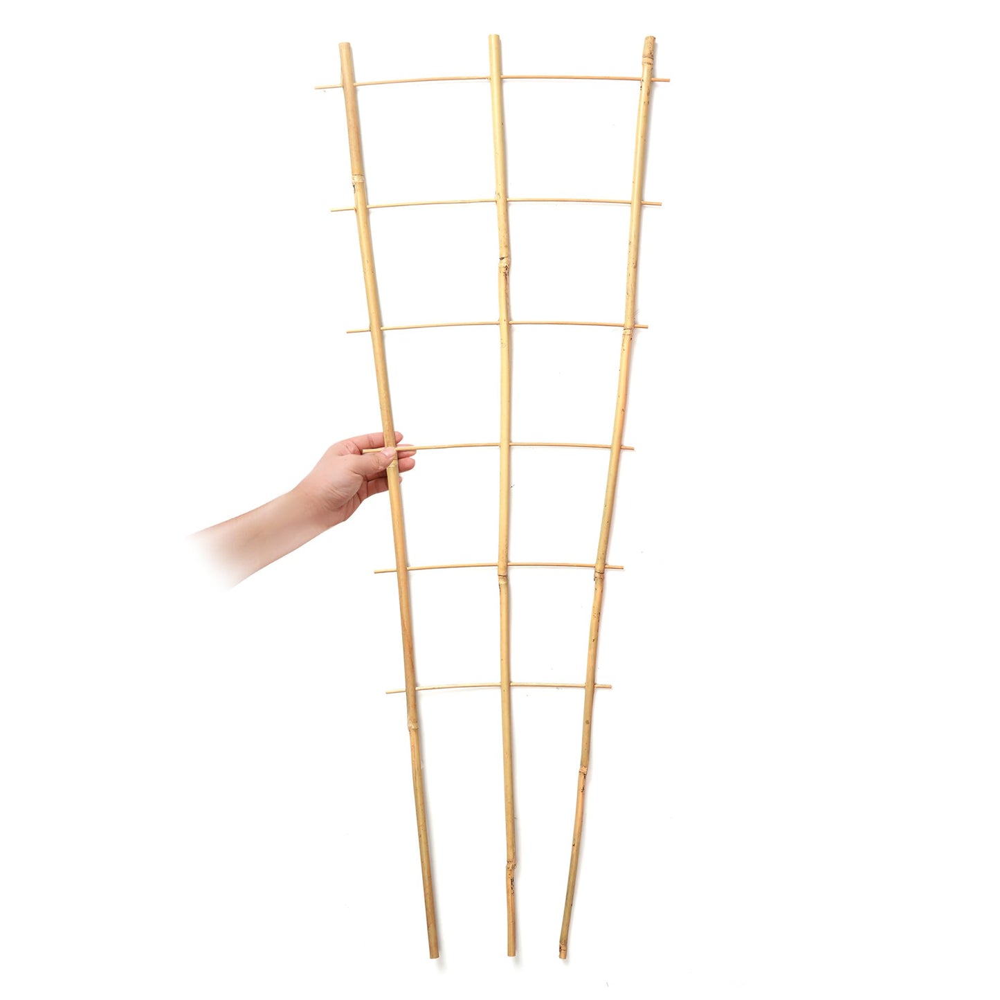 6 Pack 3Ft Bamboo Trellis for Climbing Plants,35.5 Inch Fan-Shaped Bamboo Plant Trellis with 100pcs Twist Ties for Outdoor and Indoor Potted Plants Garden Stakes
