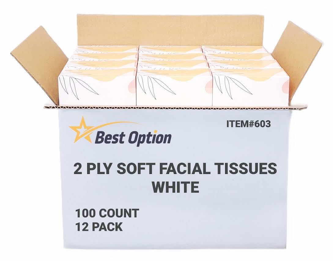 Soft 2-Ply Facial Tissue, White, 100-Count Box | Professional, Gentle and Durable | Great for Bathroom, Office, Business, School (1,200 Tissues, Bulk Pack of 12-Boxes)