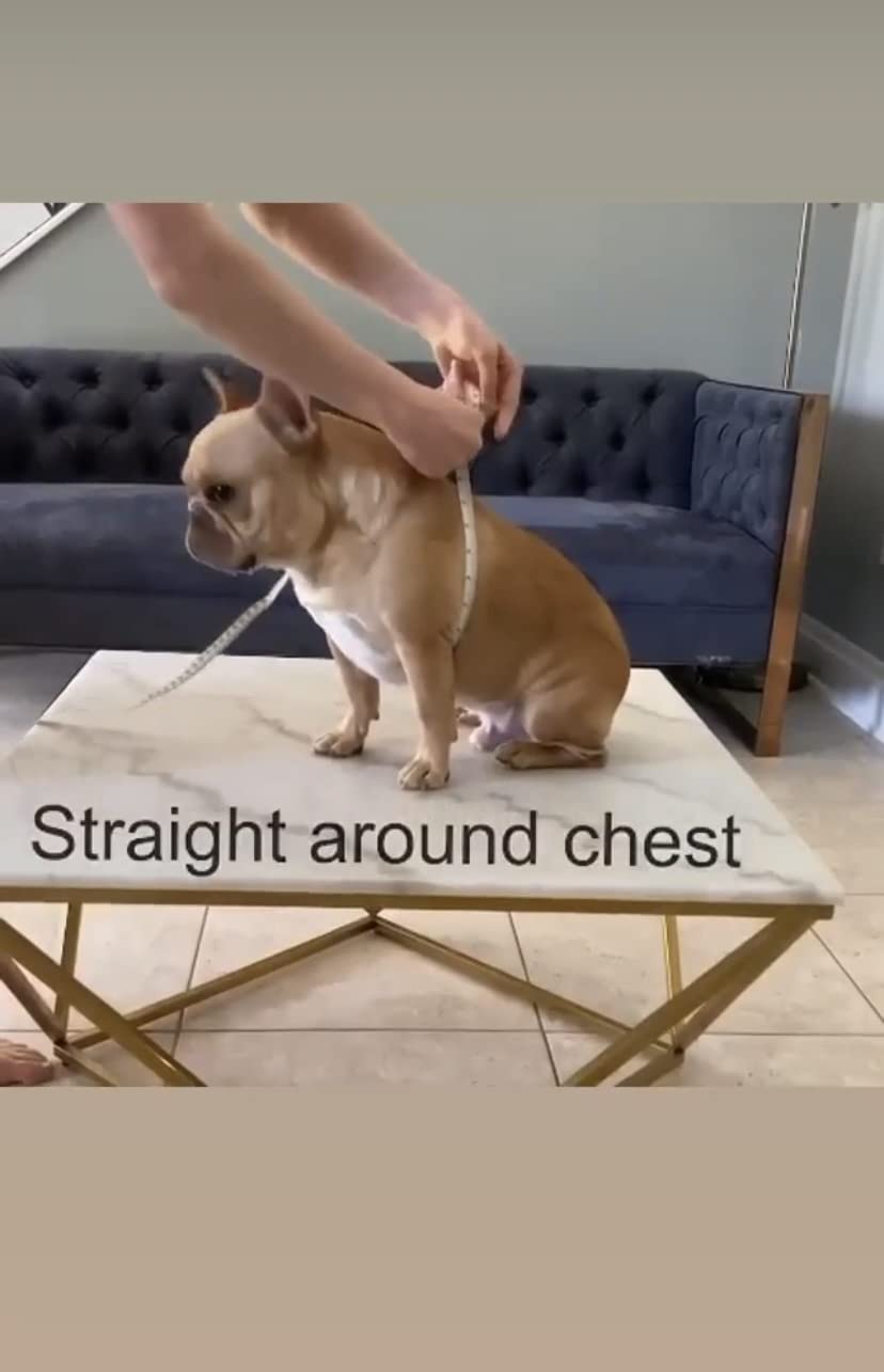 BULLHUG Adjustable Dog Harness – No Pull, No Choke – for English Bulldogs, French Bulldogs, Pugs & Broad-Chested Breeds – Easy, Safe Walks (Pink Floral, Large)