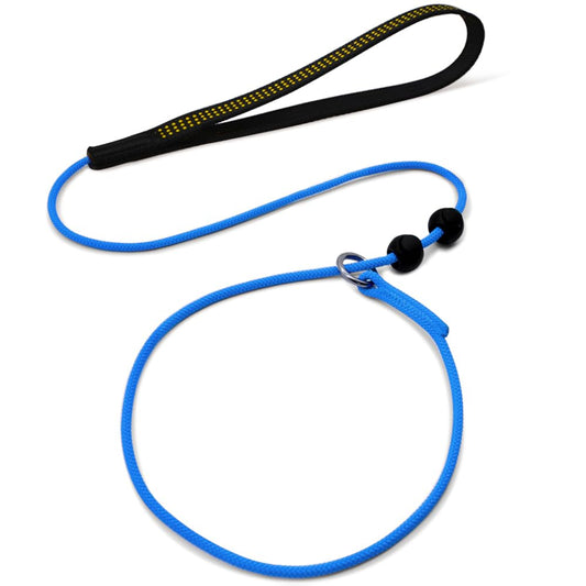 BeauGo Slip Leads for Dogs,Top Speed Training Dog Leash,2-in-1 Slip Collar Dog Training Lead & Collar,6ft Thin Slip Lead,sturdyand Durable, Leash Suitable for Small, Medium, and Large Dogs((Blue)