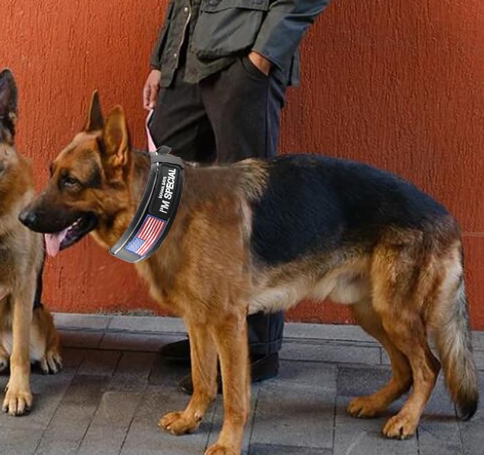 Comfluxe 2.5" Tactical Dog Collar for Medium Dogs, Adjustable Heavy Duty Military Nylon Dog Collar with Reflective Stitching & Padded Handle for Hiking/Running/Training (Black,M)