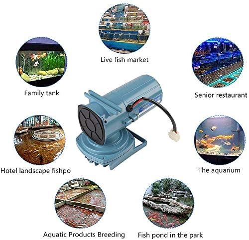 Air Pump,DC 12V Aquarium Air Pumps,35W Compressor Aerator,Air Pump Aerator for Fish Pond Aquaculture Aquarium Accessory Tool