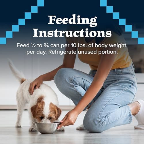 Blue Buffalo Wilderness High Protein Grain Free, Natural Senior Wet Dog Food, Turkey & Chicken Grill 354G Can (Pack Of 12)