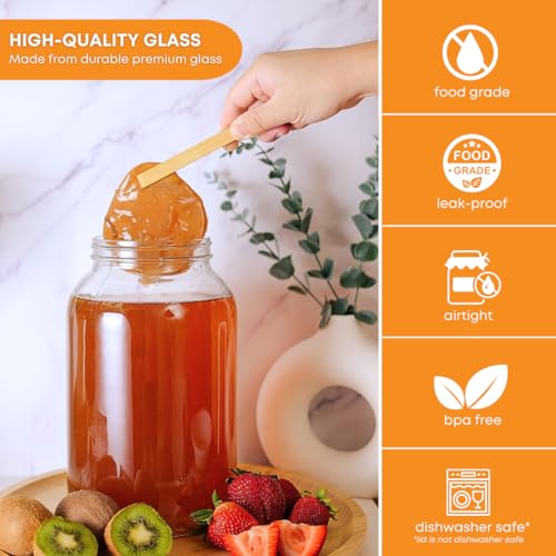 FastRack One gallon Wide Mouth Jar with Drilled Lid & Twin Bubble Airlock-Set of 2, multicolor (B01AKB4G9E)