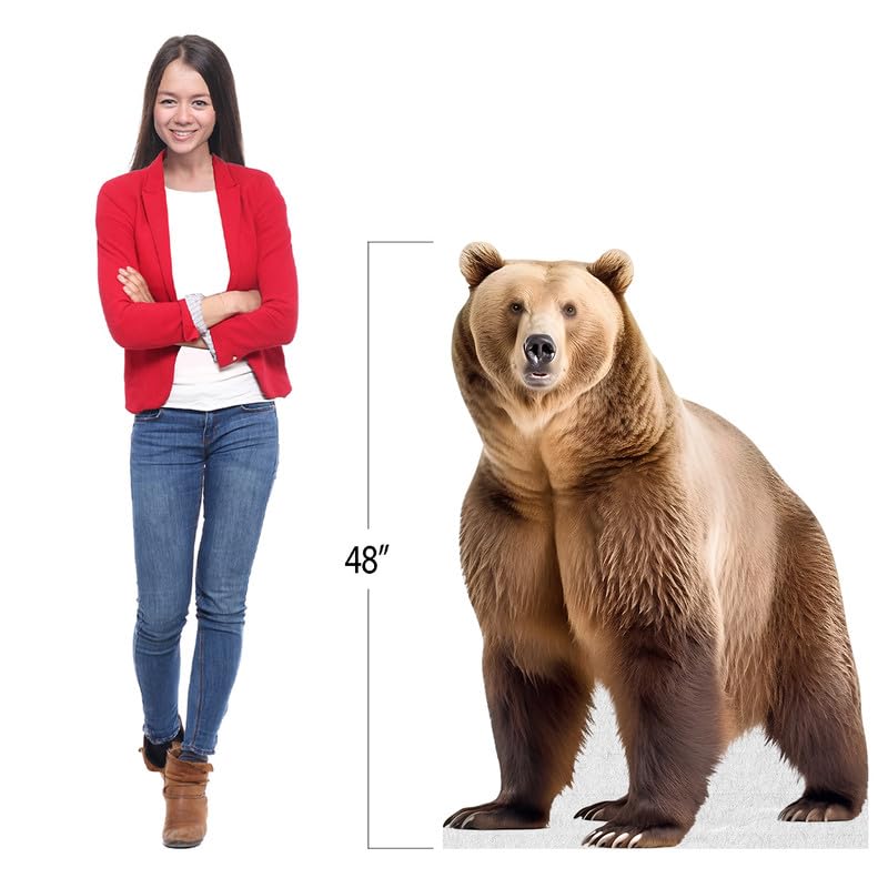 Bear - Life Size Cardboard Cutout Standup People with Support Standee | Animals -2