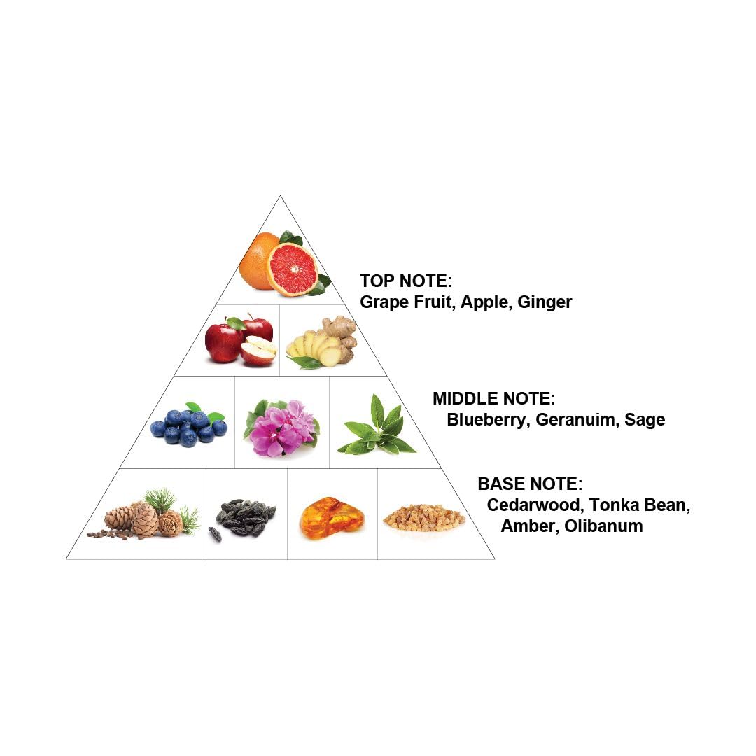 Al Haramain Azure French Collection for Unisex - Arabian Perfume for Women and Men - Long Lasting Fragrance with Notes of Amber, Tonka &Cedar - Arabic Perfume - Eau De Parfum Spray - 3.33 oz EDP Spray