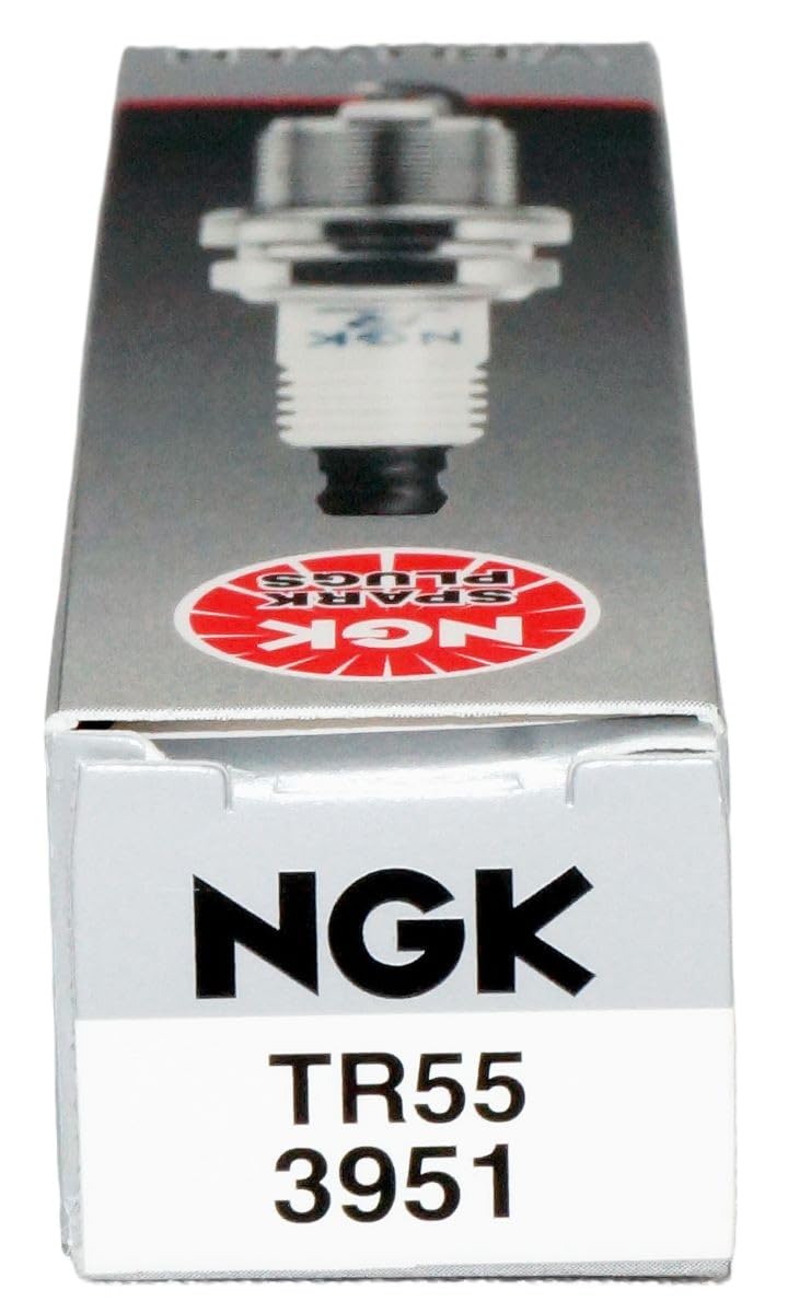 NGK 8 Pack of Genuine OEM (3951) Spark Plugs # TR55-8PK