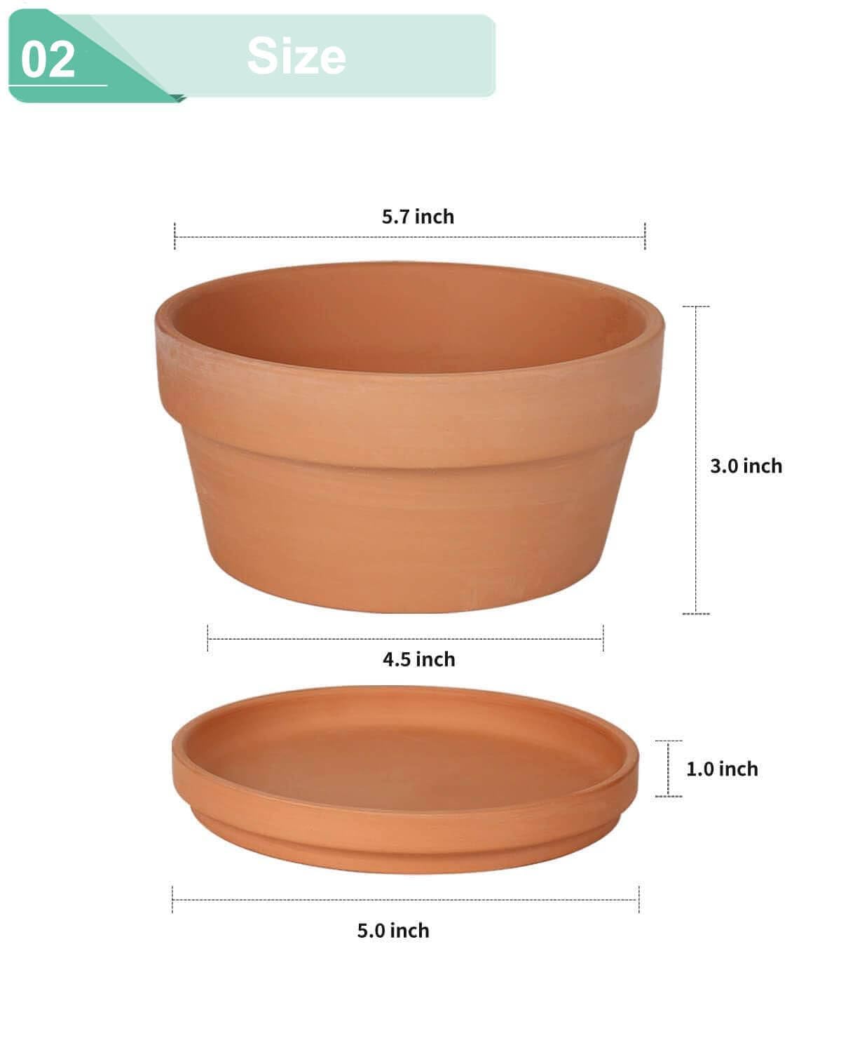 5.7 Inch Terracotta Shallow Succulent Pot - 6 Pack Terra Cotta Clay Pots with Saucer, Cacuts Terra-Cotta Indoor and Outdoor Planters with Drainage Hole