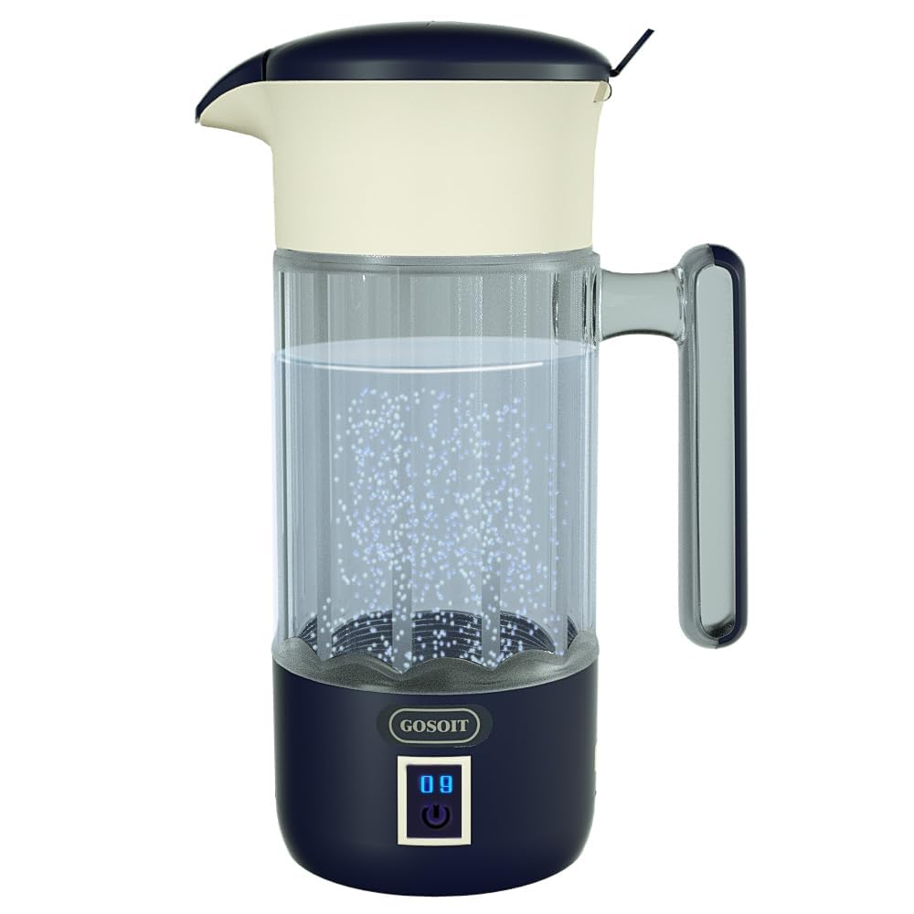 GOSOIT Hydrogen Water Bottle lonizer Hydrogen Water Pitcher Generator Maker Machine with SPE PEM Tech (Dutch Blue)