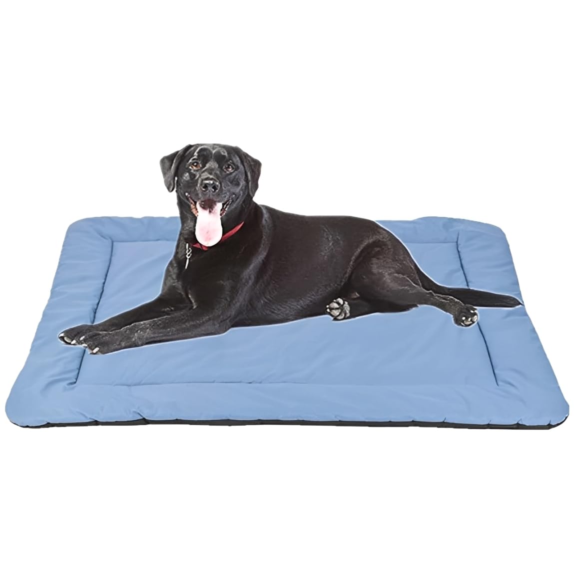 Cheerhunting Outdoor Dog Bed Pet Bed 40” X 32”, Waterproof, Washable, Large Size, Durable,Water Resistant,Portable and Camping Travel Pet Mat (L, Blue)