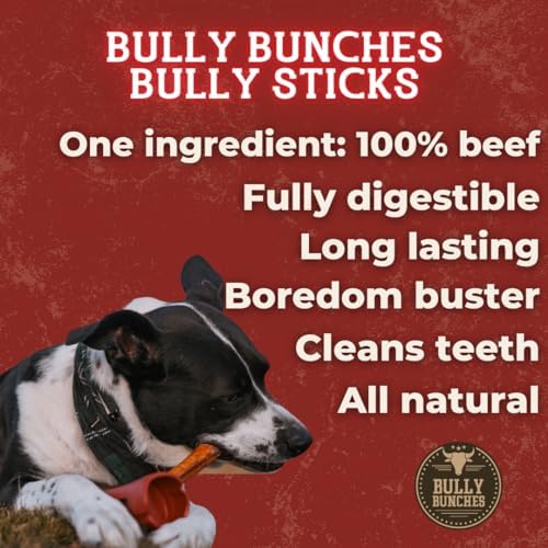 Bully Bunches Premium 12" Standard Odor-Free Bully Sticks for Medium & Large Dogs - Long-Lasting, Natural, Single-Ingredient 100% Beef Chews for Oral Health, Rawhide-Free (10-Pack) Made in CA