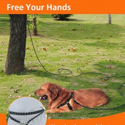 100FT Black Long Leashes for Dog Training, Reflective Threads Check Cord Recall Training Agility Dog Lead for Large Medium Small Dogs, Dog Tie-Out Cable Great for Playing, Camping, or Backyard