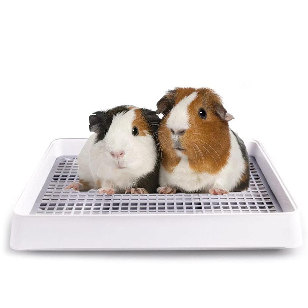 Guinea Pig Litter Pan with Grate, Small Animal Litter Box for Cage, Bunny Restroom Tray Toilet Potty Trainer for Ferret Chinchilla Rat
