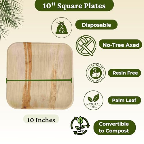 Dtocs Palm Leaf Plates 10 Inch Square 50 Dinner Plates Set | Bamboo Plates Disposable Like Compostable Plates, Disposable Charcuterie Boards, Platters | Disposable Plates Sturdy Than 10" Paper Plates