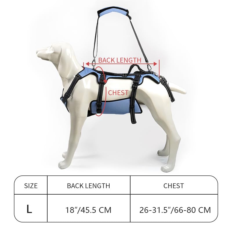 Coodeo Dog Lift Harness, Support & Recovery Sling, Pet Rehabilitation Lifts Vest Adjustable Breathable Straps for Old, Disabled, Joint Injuries, Arthritis, Paralysis Dogs Walk (Large)
