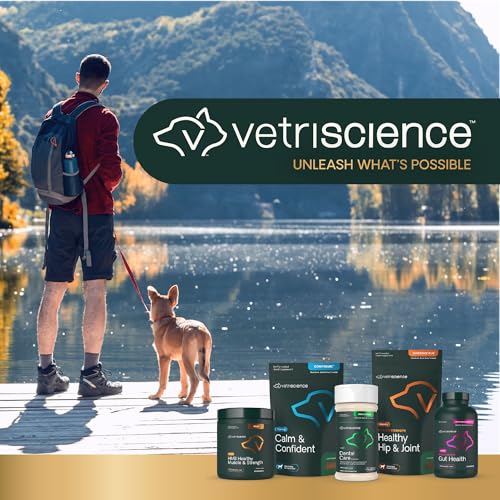VetriScience Laboratories- Perio Support, Dental Health Powder for Cats and Dogs, 4.2oz
