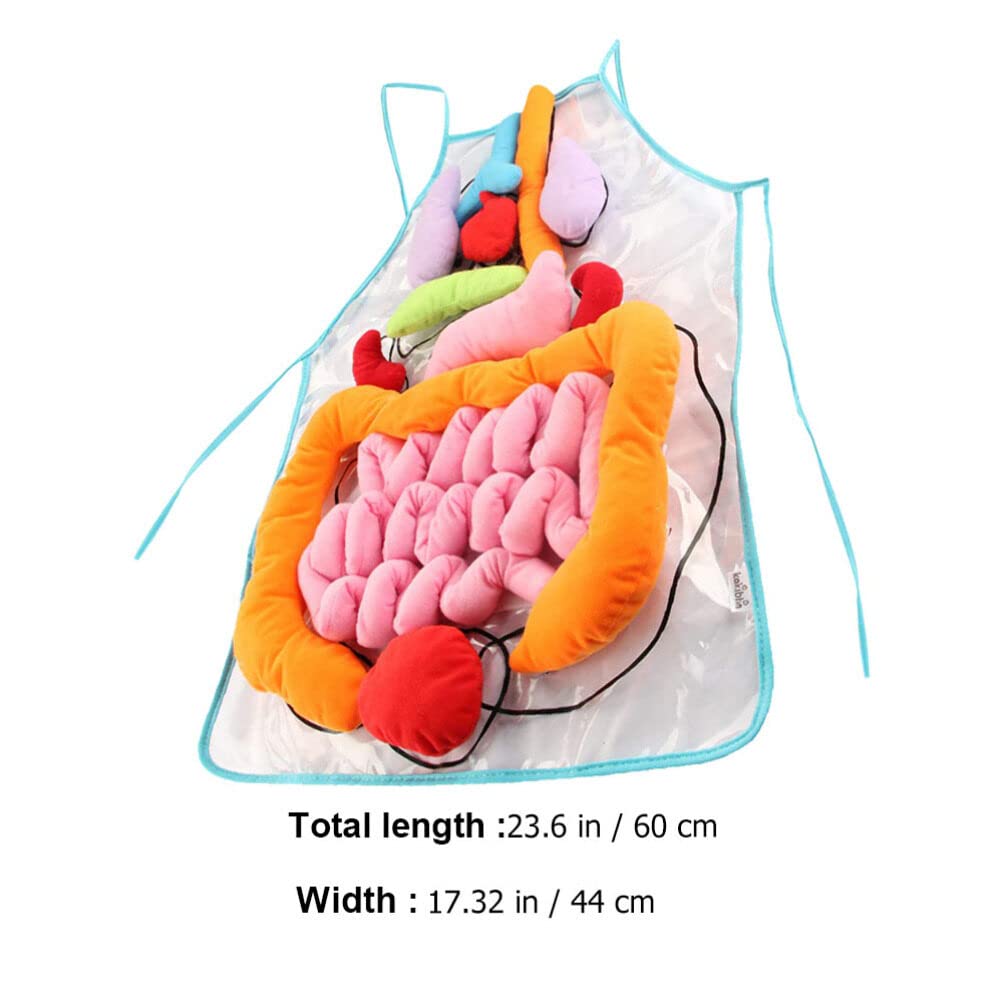 ULTECHNOVO Human Organs Apron Educational Teaching Apron for Children Early Learning Body Organ Model 23.62X17.32In Anatomy for Kindergarten Classroom Activities