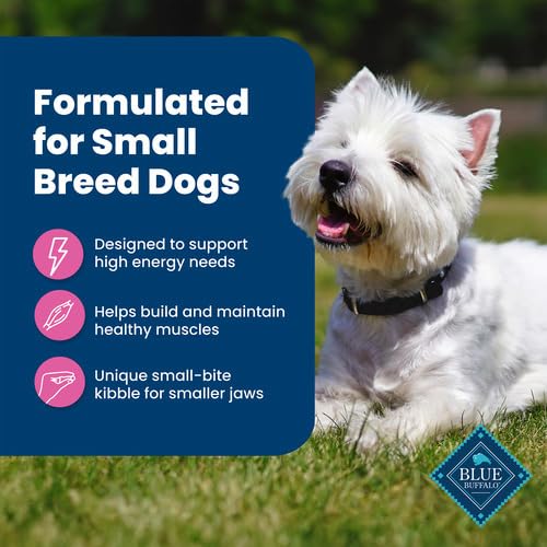 Blue Buffalo Life Protection Formula Small Breed Dog Food – Natural Dry Dog Food for Adult Dogs – Chicken and Brown Rice 6.8kg Bag - 15lb, kibble