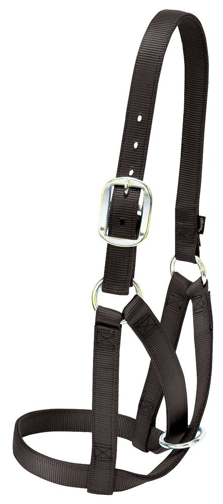 Weaver Leather Barn Cow Halter, Black, Large