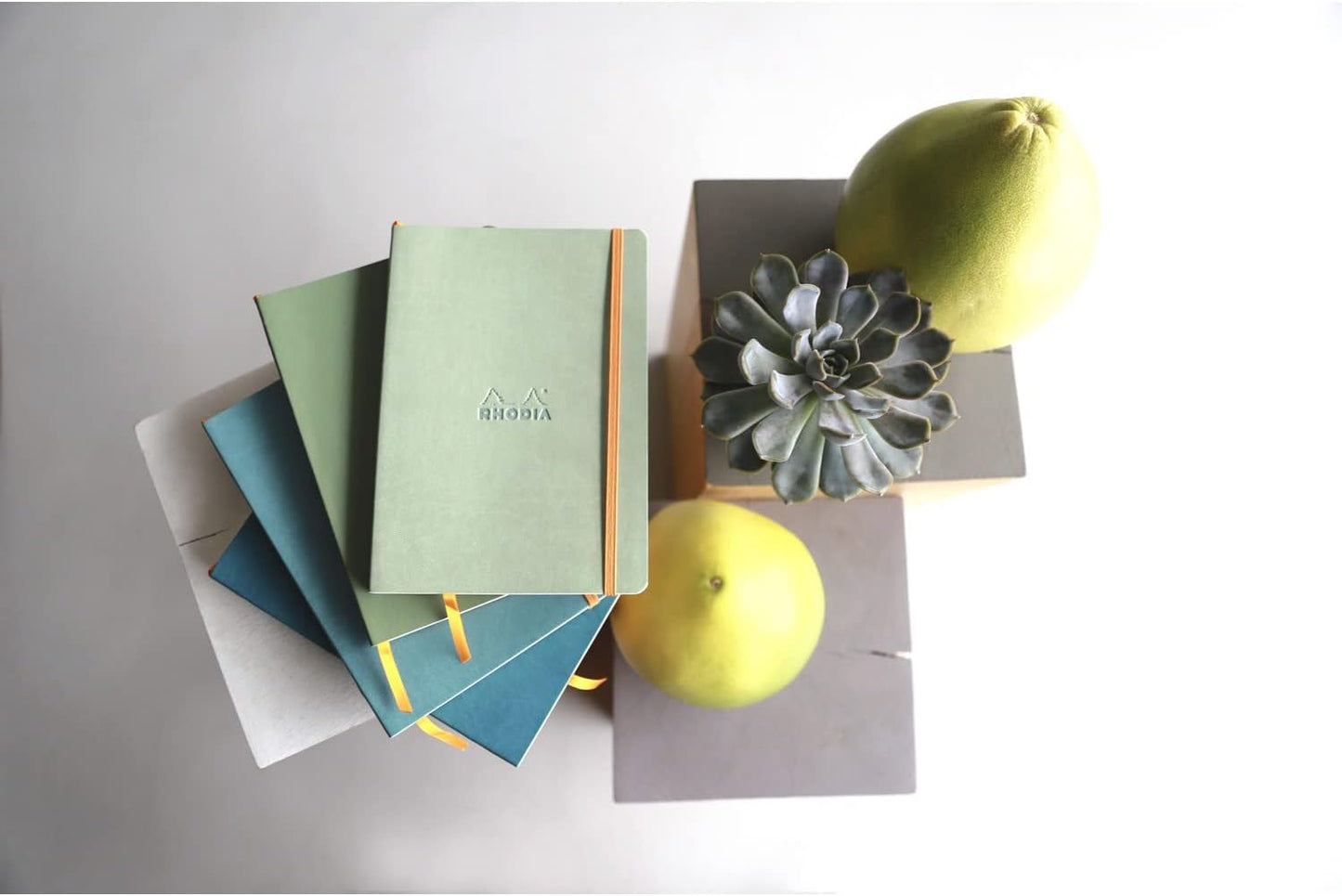 Rhodia - Rhodiarama Leatherette Softcover Notebook - A5 5.8 x 8.3 in (14.8x21 cm) - 160 Pages, Dot Grid Ruling, 90gsm Brushed Vellum Ivory Paper - Sage - 117440C