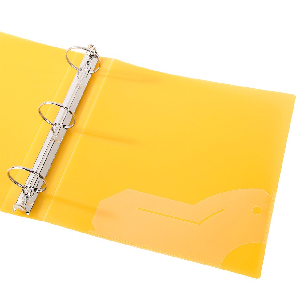 Filexec Products 3 Ring Binder, 2 Inch Capacity, Frosted, Letter Size, Pack of 6, Blueberry, Strawberry, Grape, Lemon, Lime, Tangerine (50161-6494)