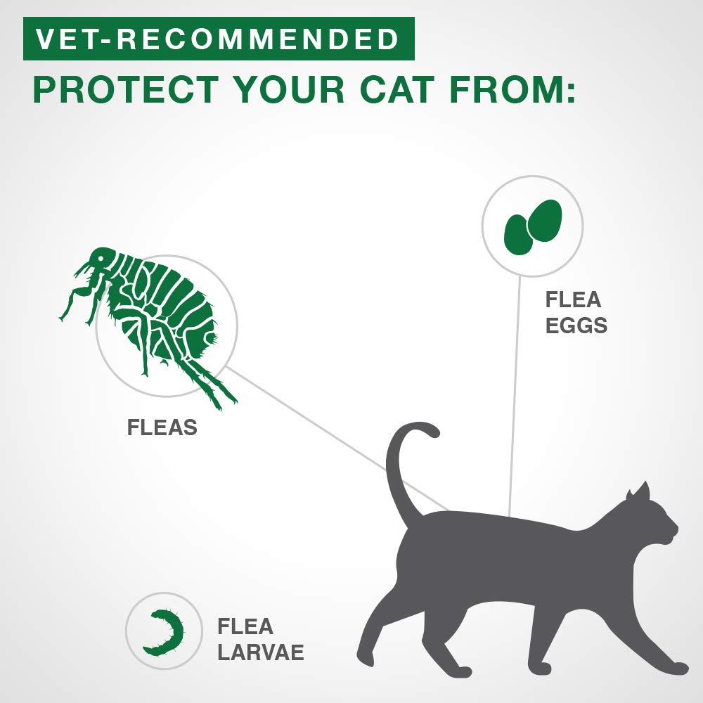 Advantage II Flea Treatment for Small Cats weighing between 2.3 kg to 4 kg (5 lbs. to 9 lbs.)-2 doses