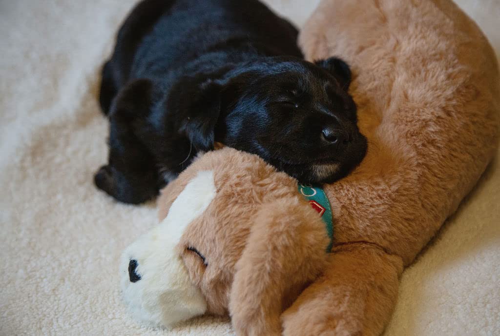 Calmeroos Puppy Heartbeat Toy Canadian-Owned Company Sleep Aid Puppy Anxiety Relief Soother Dogs Cuddle Calming Behavioral Aid for Pets (Brown Puppy with Heart)