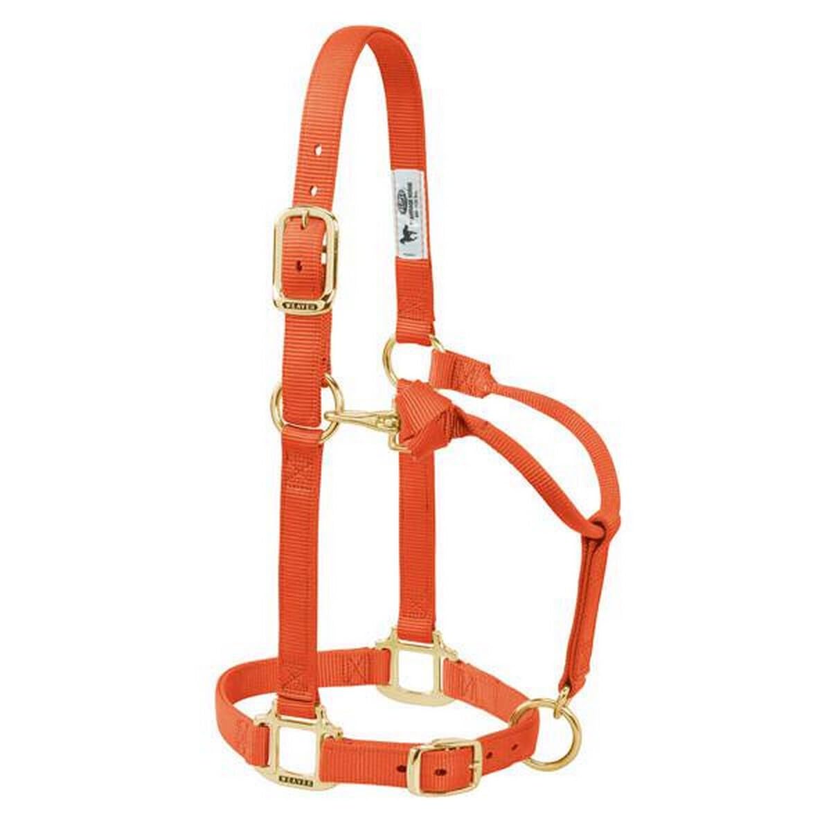 Weaver Leather Original Adjustable Nylon Horse Halter, Average Horse, Orange