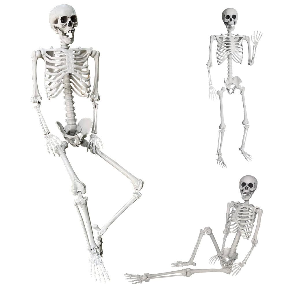 5.4Ft/165cm Halloween Life Size Skeleton Full Body with Movable Joints for Halloween Party Prop Scary Graveyard Haunted House Lawn Yard Decorations (Grey)